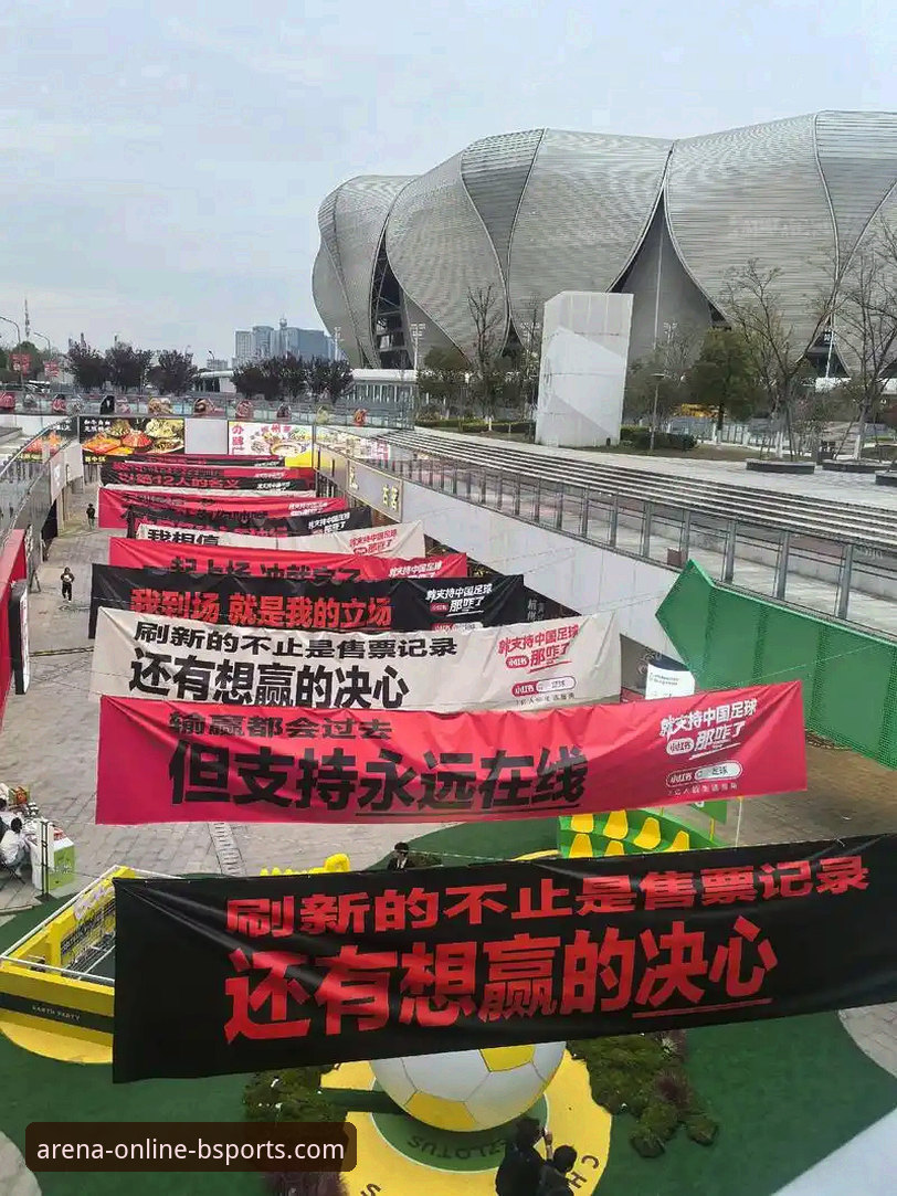 老用户亲测b体育在线平台2025新版更新内容使用心得